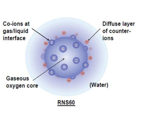 RNS60|纳米气泡